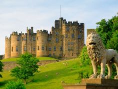 a stone lion statue in front of a castle with sheep grazing on the grass below