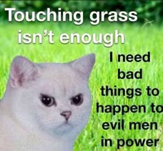 a white cat sitting in the grass with an interesting message below it that says, touching grass isn't enough i need bad things to happen to happen to evil men in power