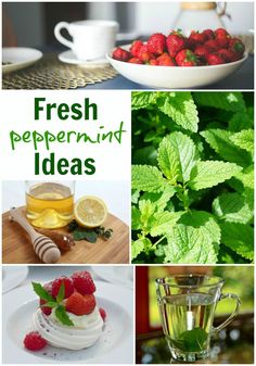 fresh peppermint ideas for tea and lemonade