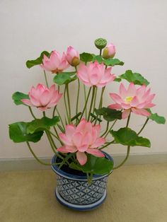 there is a blue and white vase with pink flowers in it on the floor next to a wall