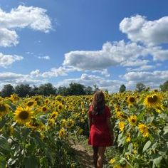 a woman in a red dress walking through a field of sunflowers under a cloudy blue sky