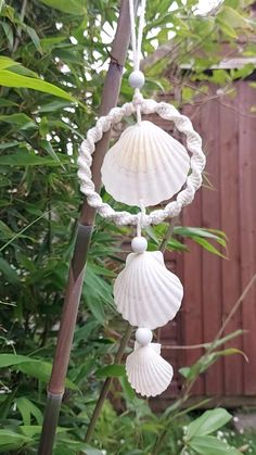 a wind chime hanging from a tree branch