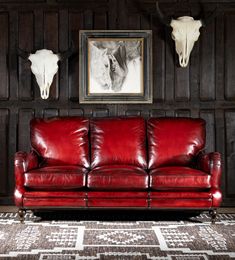 a red leather couch sitting in front of two steer heads