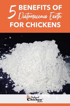 a pile of white powder with the words 5 benefits of diaperaceus earth for chickens