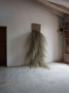 a long grass plant hanging from the side of a wall in an empty room with no one around it