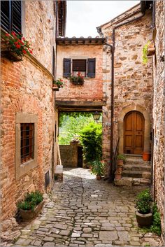 an alley way with stone buildings and potted plants on either side, surrounded by cobblestones