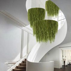 a spiral staircase with moss growing on it