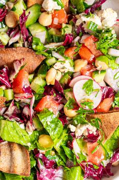 a salad with lettuce, tomatoes, radishes and other vegetables