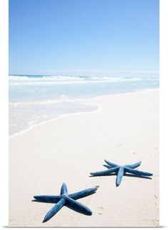 two starfishs are laying on the sand at the beach