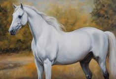 White Horse Portrait (Close Up) Oil Painting Art Print White Horse Portrait, Horse Portrait, True Art, Paintings Art Prints, White Horse, High Level, Art Collector, Brush Strokes, White Border