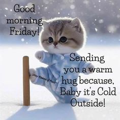 a cat sitting on top of a wooden pole in the snow with a caption saying good morning friday sending you a warm hug because baby it's cold outside