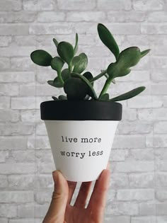 a hand holding a plant in a pot that says live more worry less