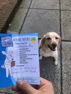 a person holding up a paper with a dog on it's back and a sign in front of them that says, day care report card