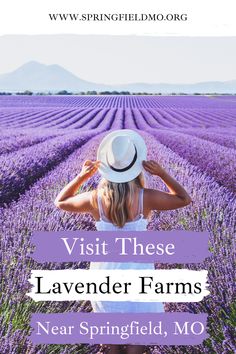 Visit These Lavender Farms Near Springfield, Missouri Things To Do In Springfield Missouri, Pizza Farm, Gain Motivation, Lavender Farms, Fields Of Flowers, Blueberry Lemonade, Springfield Missouri, Personal Growth Plan, Farm Gifts