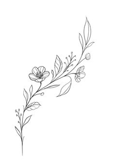 a line drawing of flowers on a white background