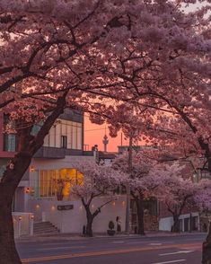 the sun is setting behind some trees with pink flowers on them in front of a building