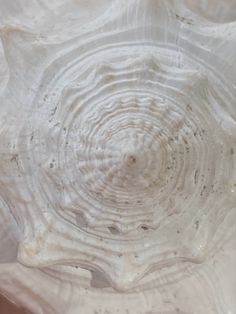 the inside of a white marble bowl