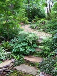 a stone path surrounded by lush green plants and trees