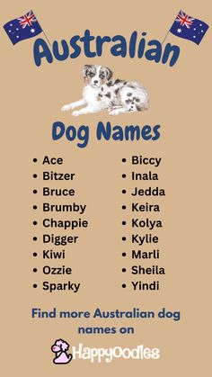 the australian dog names are shown in this poster