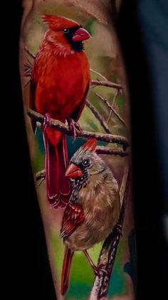 two red birds sitting on top of a branch next to each other in front of a man's arm