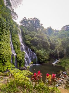 the waterfall is surrounded by lush greenery and flowers in the foreground, with people sitting at the bottom