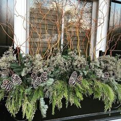 evergreens and pine cones in a window box