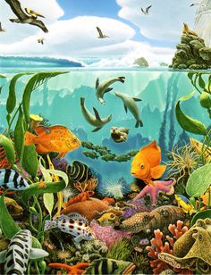 an underwater scene with fish and other marine life