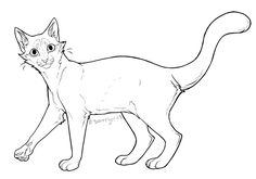 a black and white drawing of a cat on a white background with the words, how to draw a cat