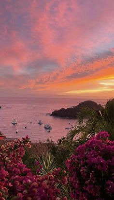 a beautiful sunset over the ocean with boats in the water and pink flowers on the ground