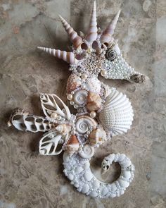 sea shells and seashells are arranged on a marble surface, including one starfish