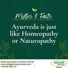 The Fact: The common factor between Ayurveda, Homeopathy, and Naturopathy is that they all follow a natural healing method. All these therapies claim to be beneficial in many diseases. Ayurveda is based on a central concept of Doshas. It is a science on its own, with its own diagnostic and therapeutic procedures and thus is different than homeopathy or naturopathy. #Ayurveda #herbalism #Myths #therapy #herbal #mythsandfacts #ayurvedamyths #ayurvedalife #ayrvedic #singapore #singaporeayurveda Ayurvedic Dinacharya, Ayurvedic Practices, Aayurvedik Upchar, Ayurveda Diagnosis, The Ayurveda Experience, Ayurveda Life, Common Factors, Naturopathy