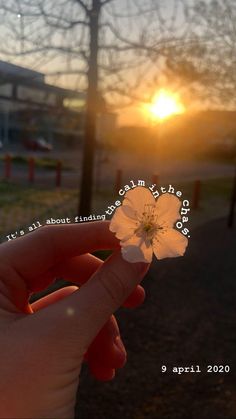 someone holding a flower in their hand with the sun setting behind them and there is no image on it