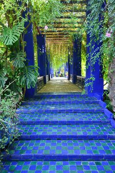 the walkway is lined with blue and green tiles, which are bordered by greenery