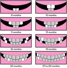 how to draw teeth for kids with different shapes and sizes, including the upper half