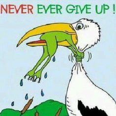 an image of a cartoon bird with the caption never ever give up