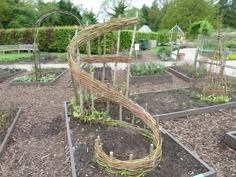 a garden filled with lots of different types of plants