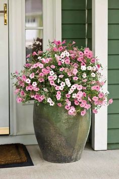 pink and white petunias in a large pot on the front door porch with green shutters