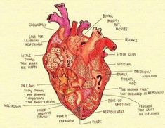 a diagram of the human heart with all its parts labeled in it's labels