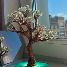 a bonsai tree sitting on top of a table next to a window sill