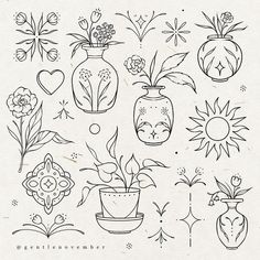 an image of flowers in vases drawn on paper