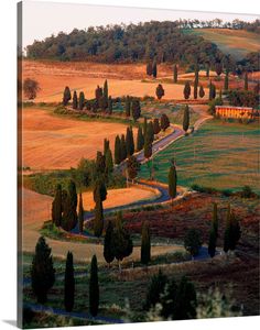 an aerial view of the countryside with trees and fields