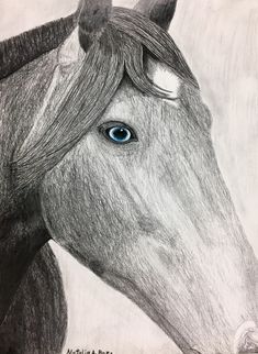 a pencil drawing of a horse with blue eyes