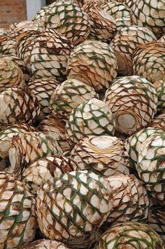 large group of pine cones piled on top of each other in front of a building