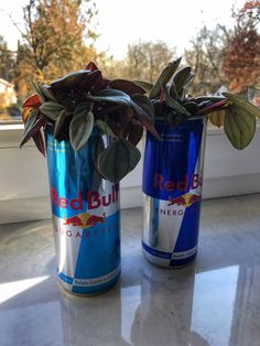 two cans with plants in them sitting on a window sill