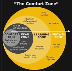 a vennuous diagram with the words, comfort zone and fear zone in it