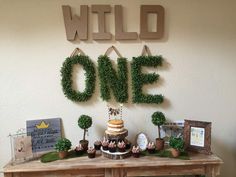 Jungle Theme Birthday, Party Backdrops, First Birthday Party Decorations, Perfect Birthday Party, Baby Teddy