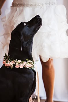 a black dog wearing a flower crown on it's head is standing next to a bride