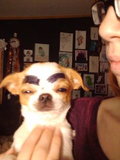 a woman is holding a small dog with eyeliners on it's face