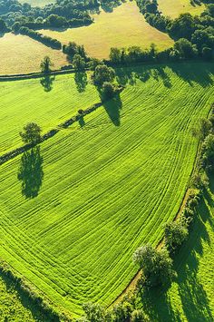 an aerial view of a green field with trees in the middle and fields on either side