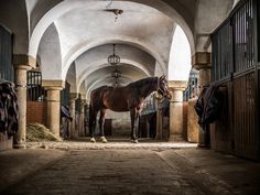 a horse is standing in an old building